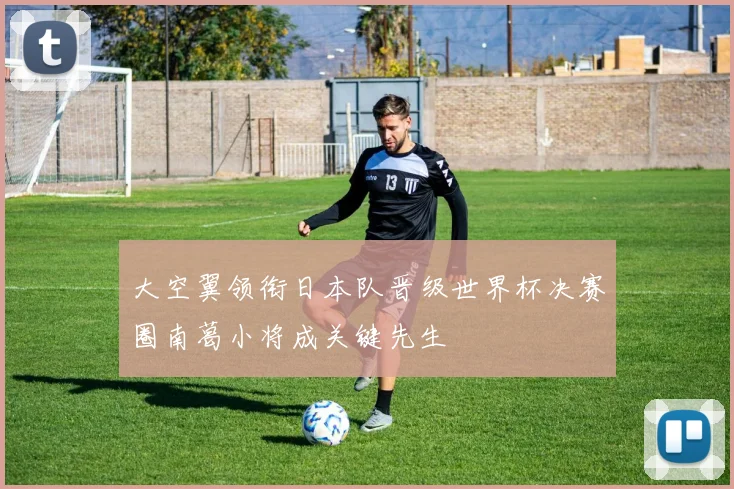 大空翼领衔日本队晋级世界杯决赛圈南葛小将成关键先生