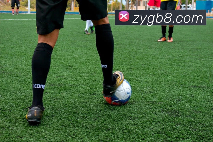 emc体育平台登录入口APP 封面图